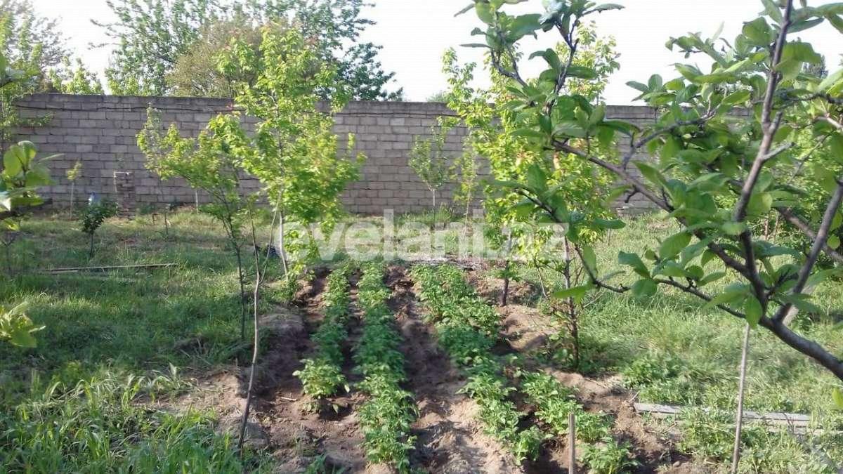 Sale, garden / house, 6 room, 300 m², Baku, Absheron r.