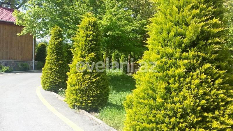 Satılır, obyekt, 1000 m², Bakı, Xəzər r.