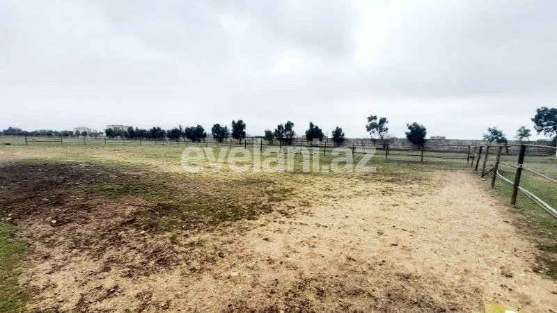 Sale, land, 210 ar, Baku, Khazar r.