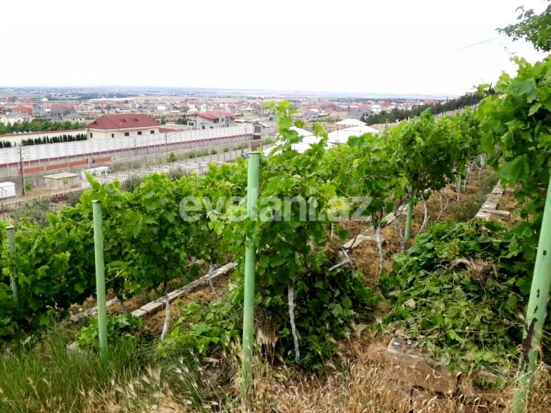 Satılır, villa, 6 otaqlı, 280 m², Bakı, Abşeron r.