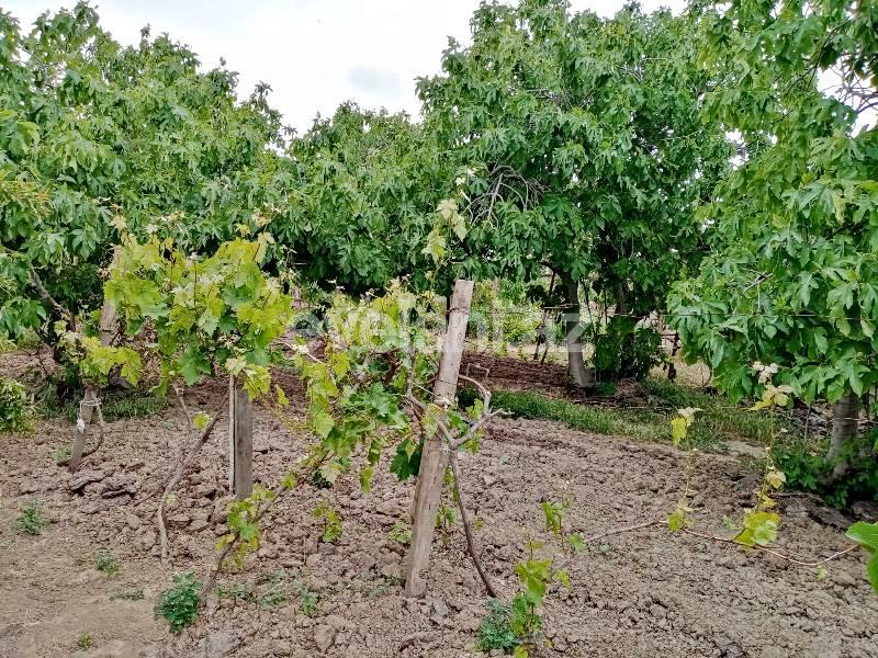 Satılır, villa, 4 otaqlı, 135 m², Bakı, Abşeron r.