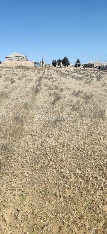 Satılır, torpaq, 16 sot, Bakı, Abşeron r.