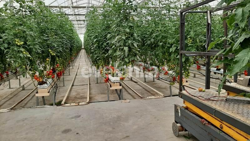 Satılır, obyekt, 20000 m², Bakı, Sabunçu r.