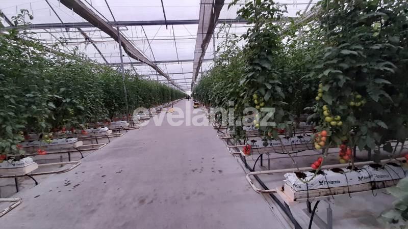 Satılır, obyekt, 20000 m², Bakı, Sabunçu r.