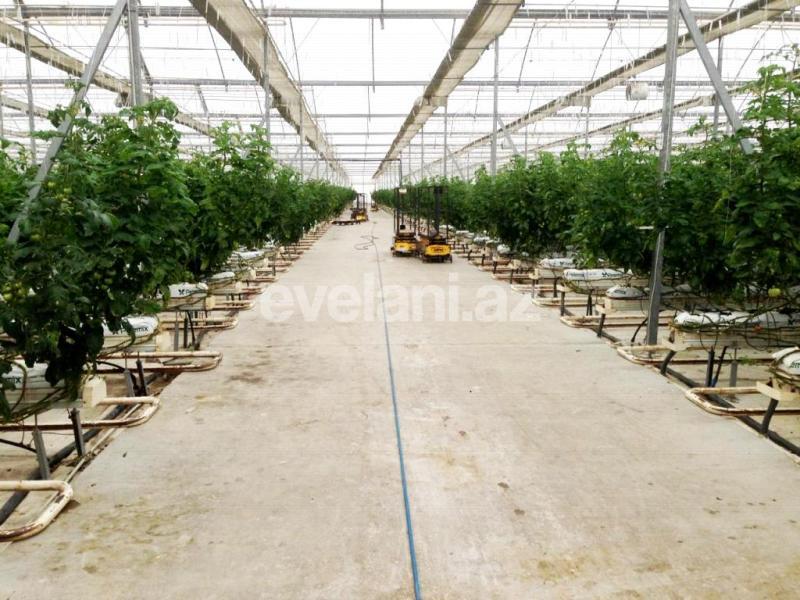 Satılır, obyekt, 20000 m², Bakı, Sabunçu r.