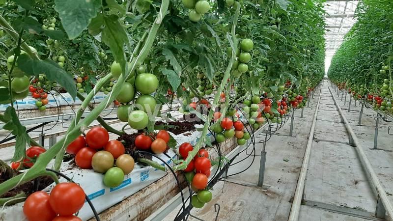 Satılır, obyekt, 20000 m², Bakı, Sabunçu r.