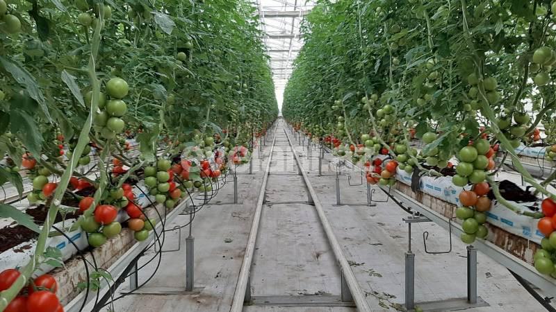 Satılır, obyekt, 20000 m², Bakı, Sabunçu r.