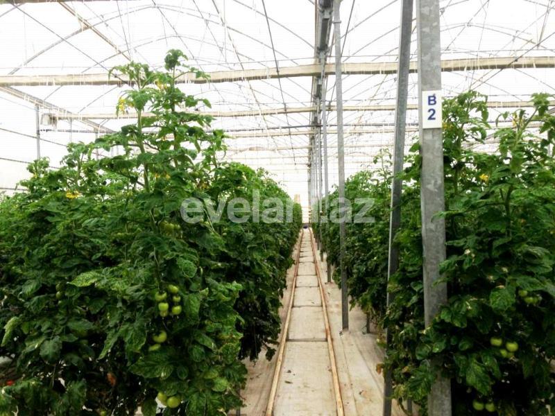 Satılır, obyekt, 20000 m², Bakı, Sabunçu r.