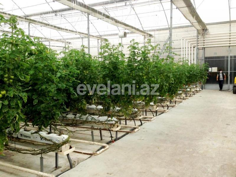 Satılır, obyekt, 20000 m², Bakı, Sabunçu r.