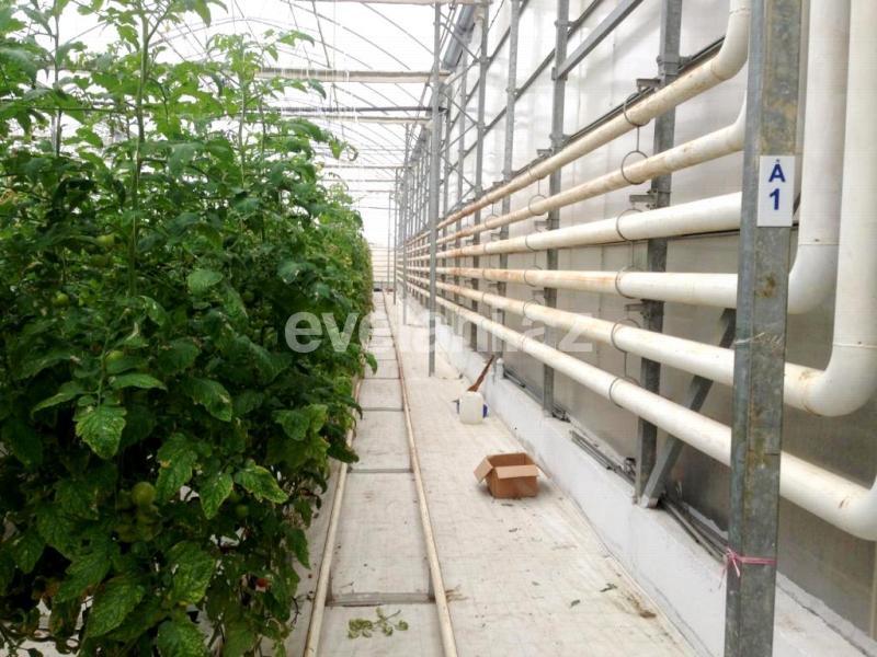 Satılır, obyekt, 20000 m², Bakı, Sabunçu r.