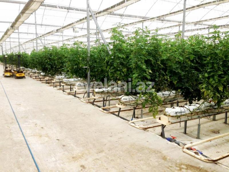 Satılır, obyekt, 20000 m², Bakı, Sabunçu r.