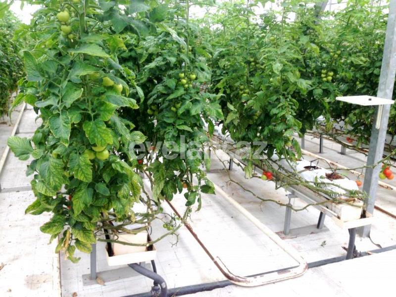 Satılır, obyekt, 20000 m², Bakı, Sabunçu r.