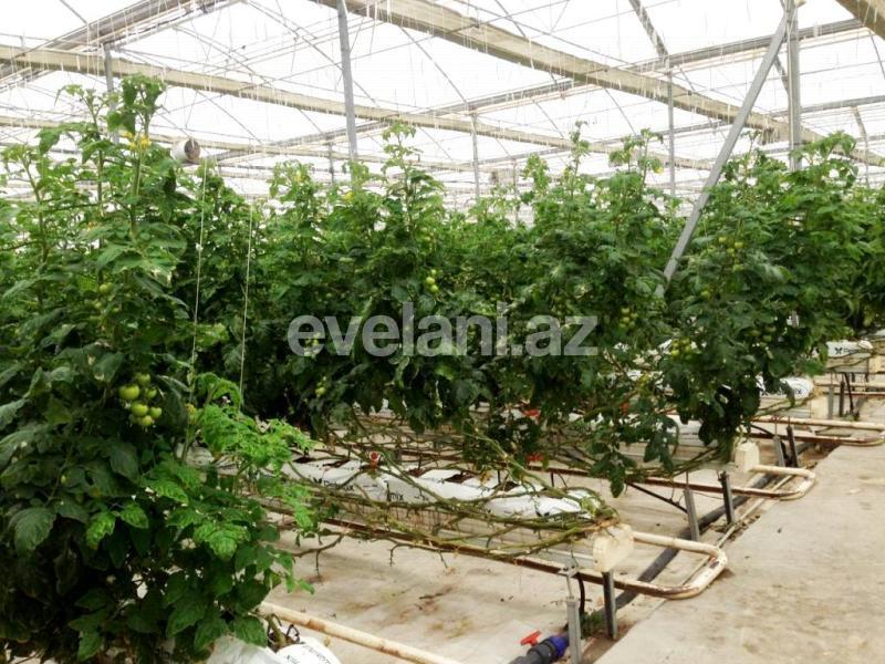 Satılır, obyekt, 20000 m², Bakı, Sabunçu r.