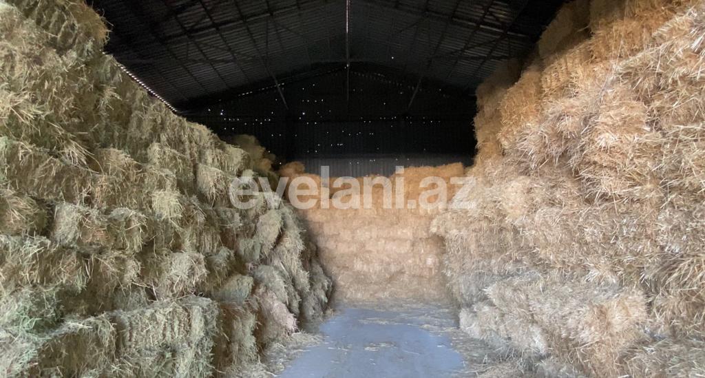 Продаётся, объект, 27400 m², Гарадаг p.