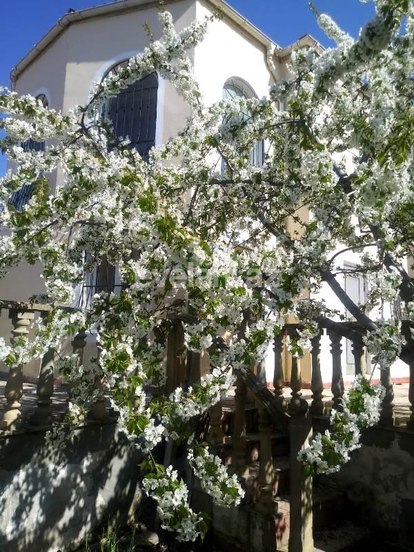 Satılır, villa, 4 otaqlı, 150 m², Bakı, Abşeron r.