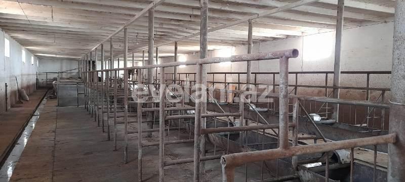 Satılır, obyekt, 1500 m², Bakı, Sabunçu r, Məmmədli q.