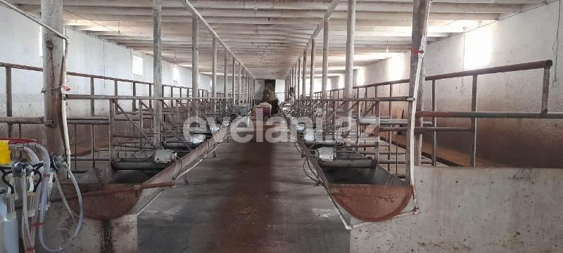 Satılır, obyekt, 1500 m², Bakı, Sabunçu r, Məmmədli q.