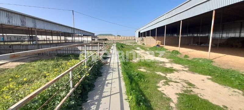 Satılır, obyekt, 1500 m², Bakı, Sabunçu r, Məmmədli q.