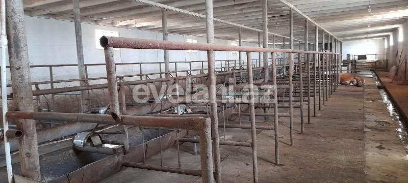 Satılır, obyekt, 1500 m², Bakı, Sabunçu r, Məmmədli q.