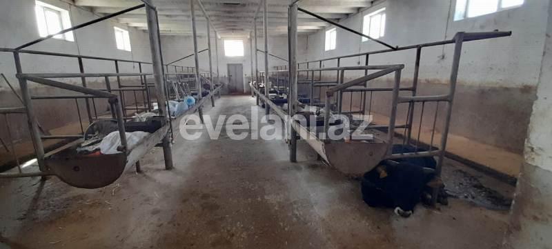 Satılır, obyekt, 1500 m², Bakı, Sabunçu r, Məmmədli q.