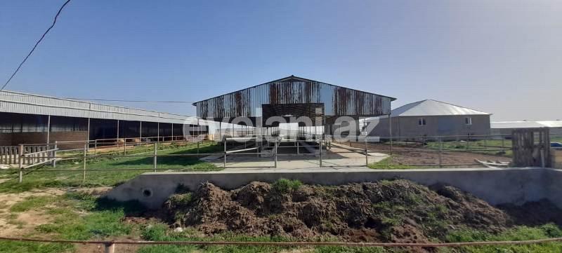 Satılır, obyekt, 1500 m², Bakı, Sabunçu r, Məmmədli q.