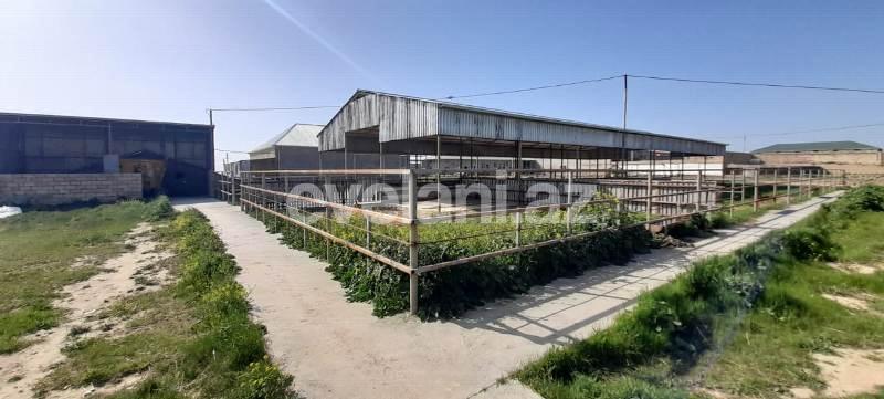 Satılır, obyekt, 1500 m², Bakı, Sabunçu r, Məmmədli q.