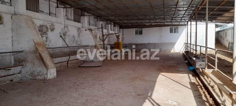 Satılır, obyekt, 1500 m², Bakı, Sabunçu r, Məmmədli q.