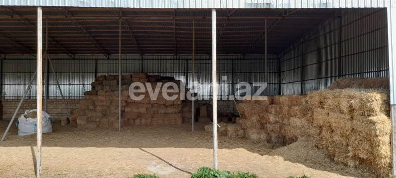 Satılır, obyekt, 1500 m², Bakı, Sabunçu r, Məmmədli q.