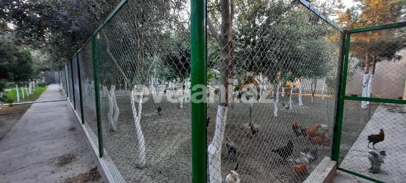 Satılır, həyət evi / bağ, 6 otaqlı, 550 m², Bakı, Xəzər r.