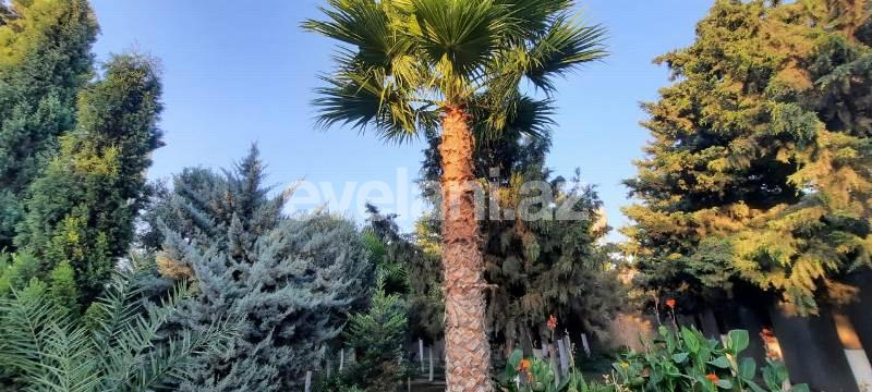 Satılır, həyət evi / bağ, 6 otaqlı, 550 m², Bakı, Xəzər r.