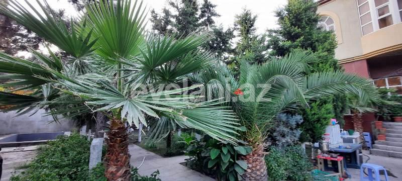 Satılır, həyət evi / bağ, 6 otaqlı, 550 m², Bakı, Xəzər r.