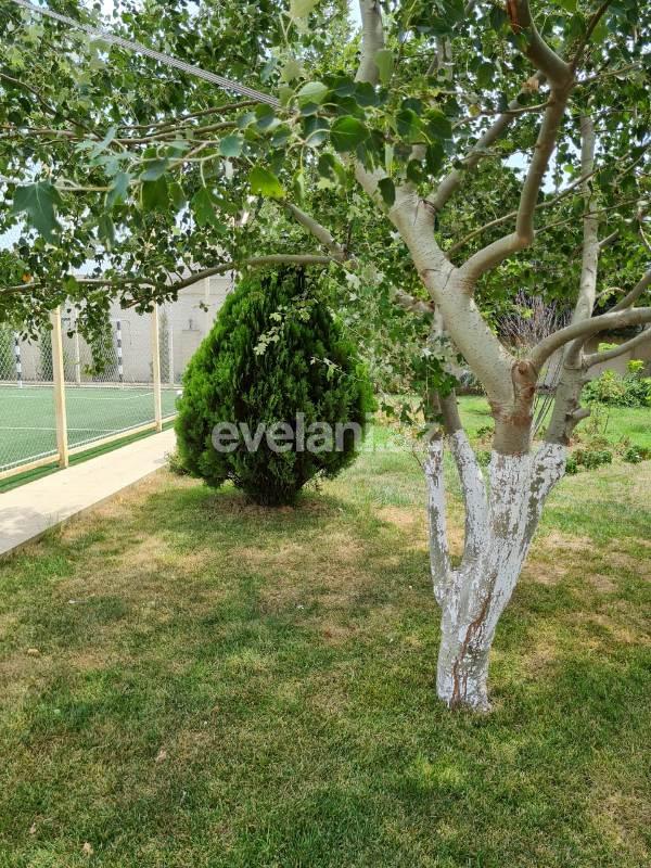 Kirayə verilir, villa, 5 otaqlı, 350 m², Bakı, Xəzər r, Şüvəlan q.