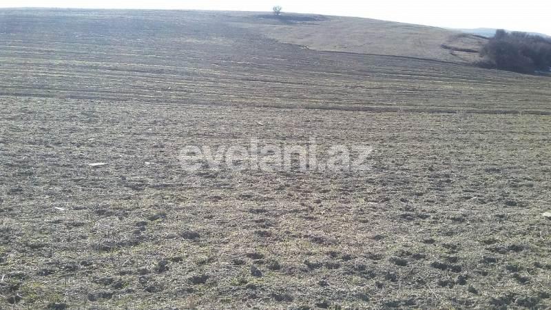 Satılır, torpaq, 275 sot, Xızı