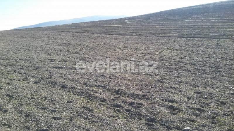 Satılır, torpaq, 275 sot, Xızı