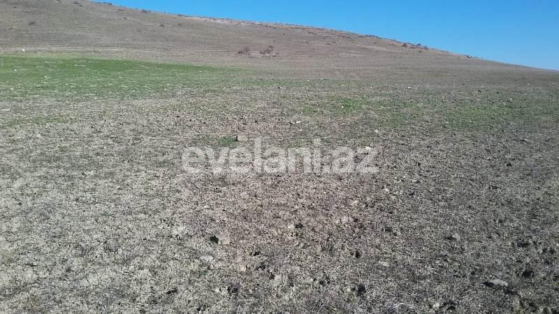 Satılır, torpaq, 275 sot, Xızı