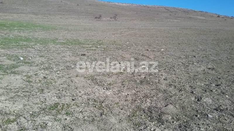 Satılır, torpaq, 275 sot, Xızı