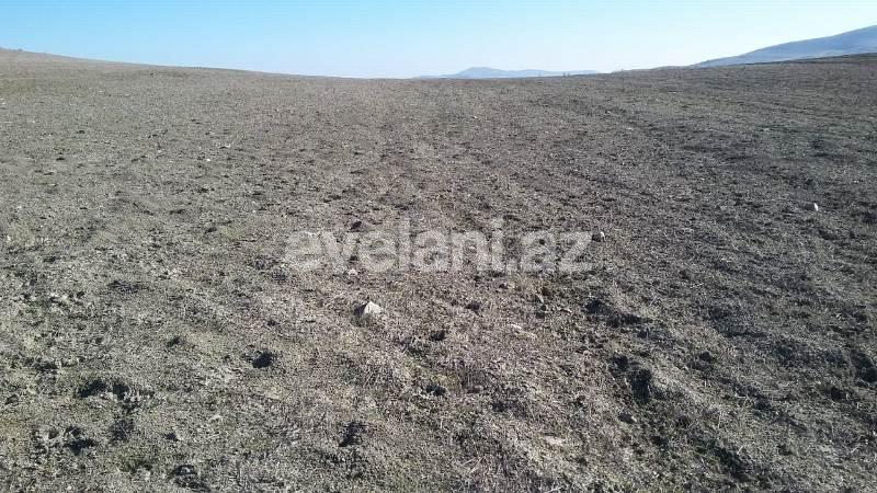 Satılır, torpaq, 275 sot, Xızı