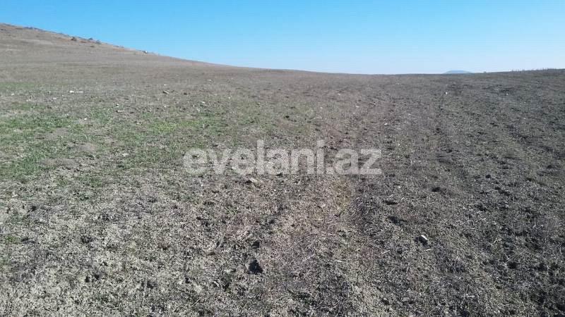 Satılır, torpaq, 275 sot, Xızı