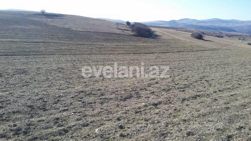 Satılır, torpaq, 275 sot, Xızı