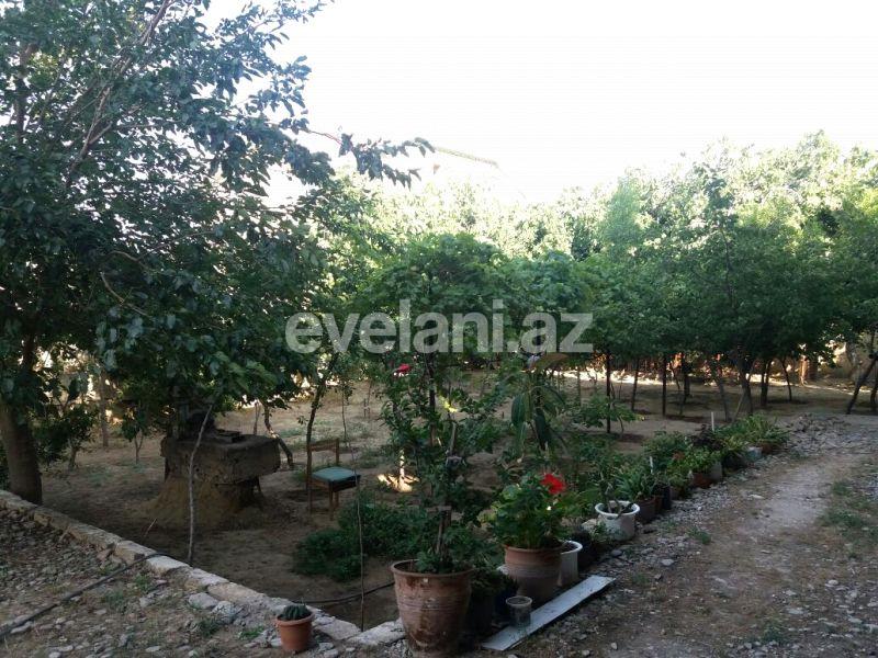 Sale, garden / house, 12 room, 600 m², Baku, Absheron r.