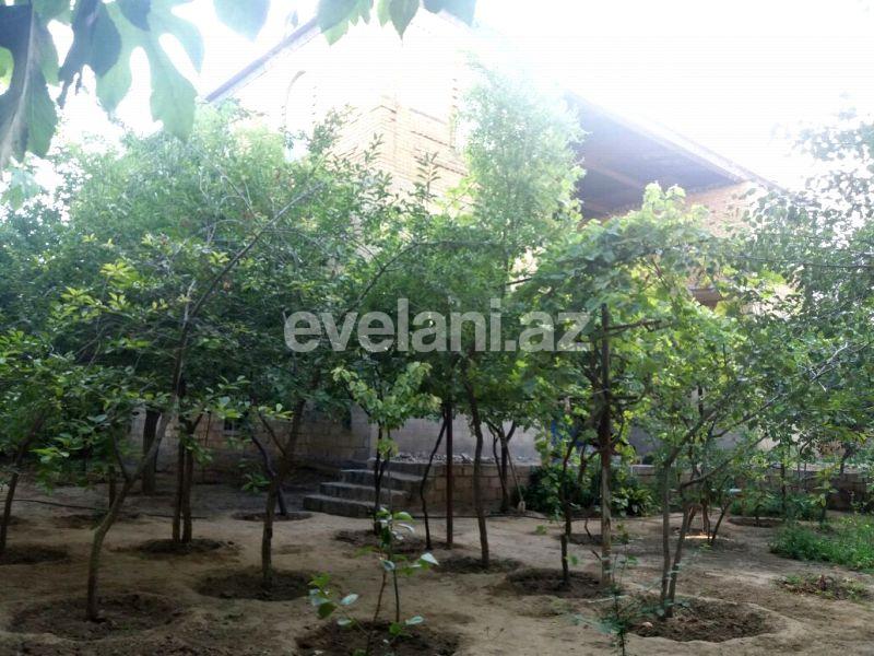 Sale, garden / house, 12 room, 600 m², Baku, Absheron r.