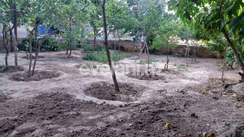 Sale, garden / house, 12 room, 600 m², Baku, Absheron r.