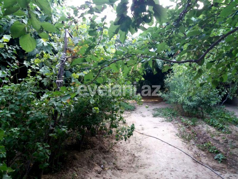 Sale, garden / house, 12 room, 600 m², Baku, Absheron r.