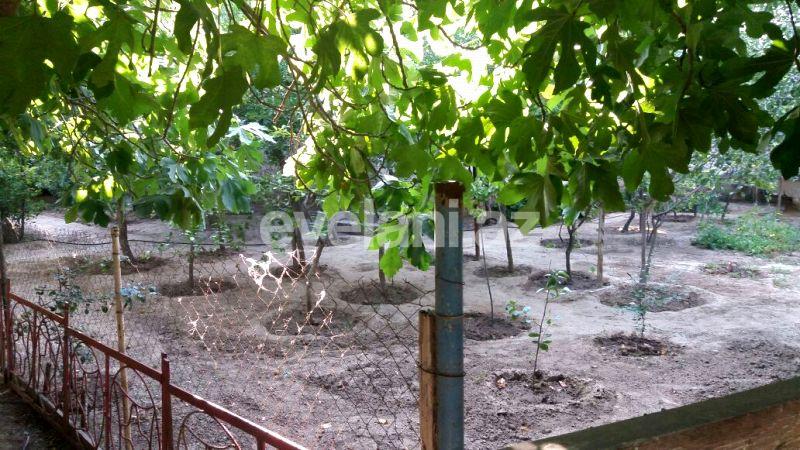 Sale, garden / house, 12 room, 600 m², Baku, Absheron r.