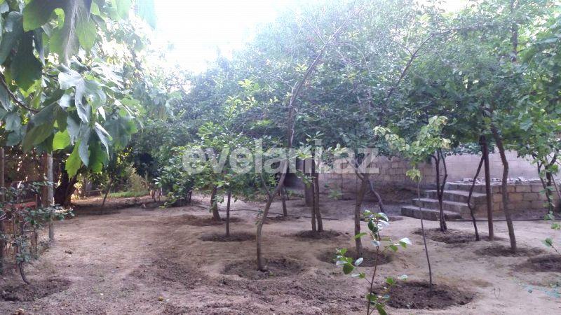 Sale, garden / house, 12 room, 600 m², Baku, Absheron r.