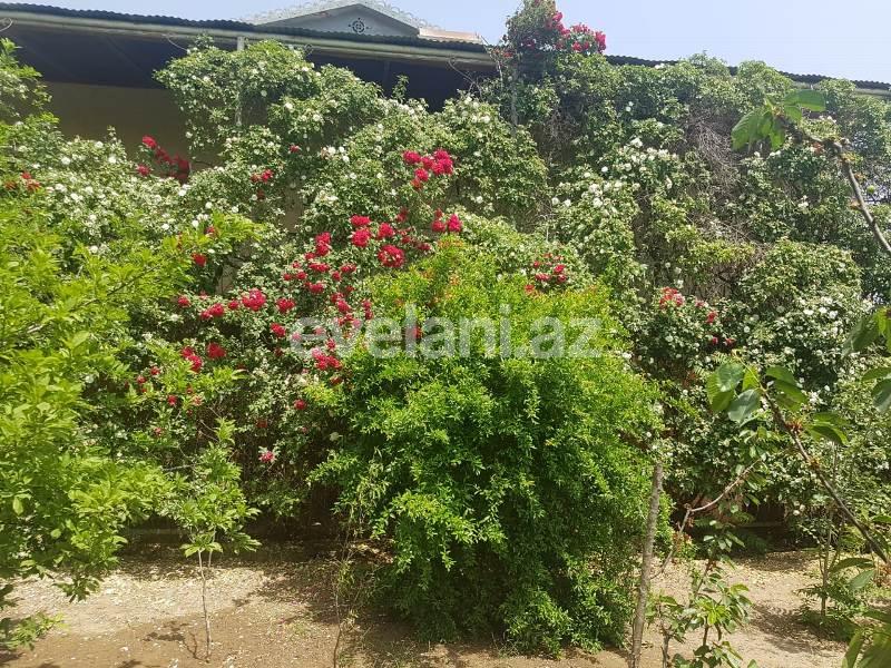 Satılır, həyət evi / bağ, 10 otaqlı, 1000 m², Bakı, Sabunçu r, Maştağa q.