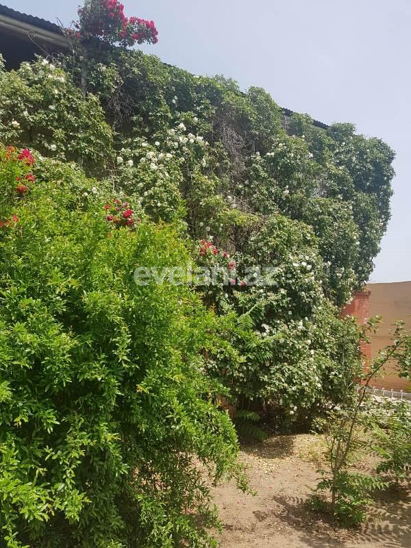Satılır, həyət evi / bağ, 10 otaqlı, 1000 m², Bakı, Sabunçu r, Maştağa q.