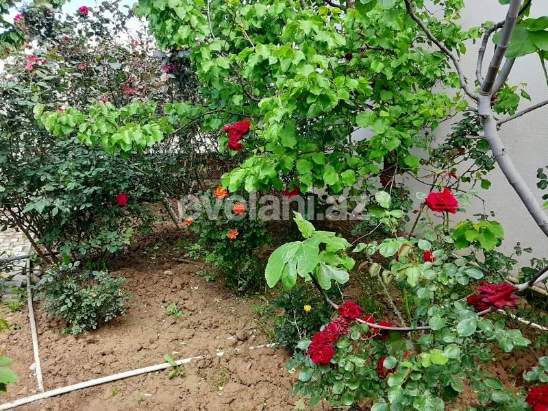 Satılır, villa, 4 otaqlı, 150 m², Bakı, Abşeron r, Novxanı q.