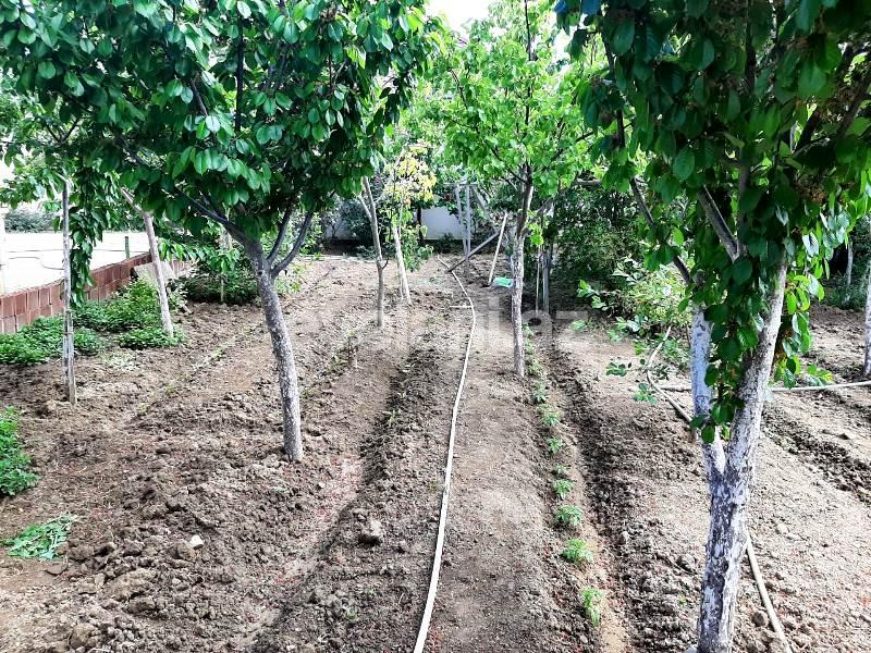 Satılır, villa, 4 otaqlı, 150 m², Bakı, Abşeron r, Novxanı q.