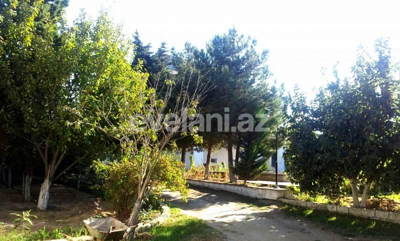 Sale, garden / house, 6 room, 480 m², Baku, Absheron r.